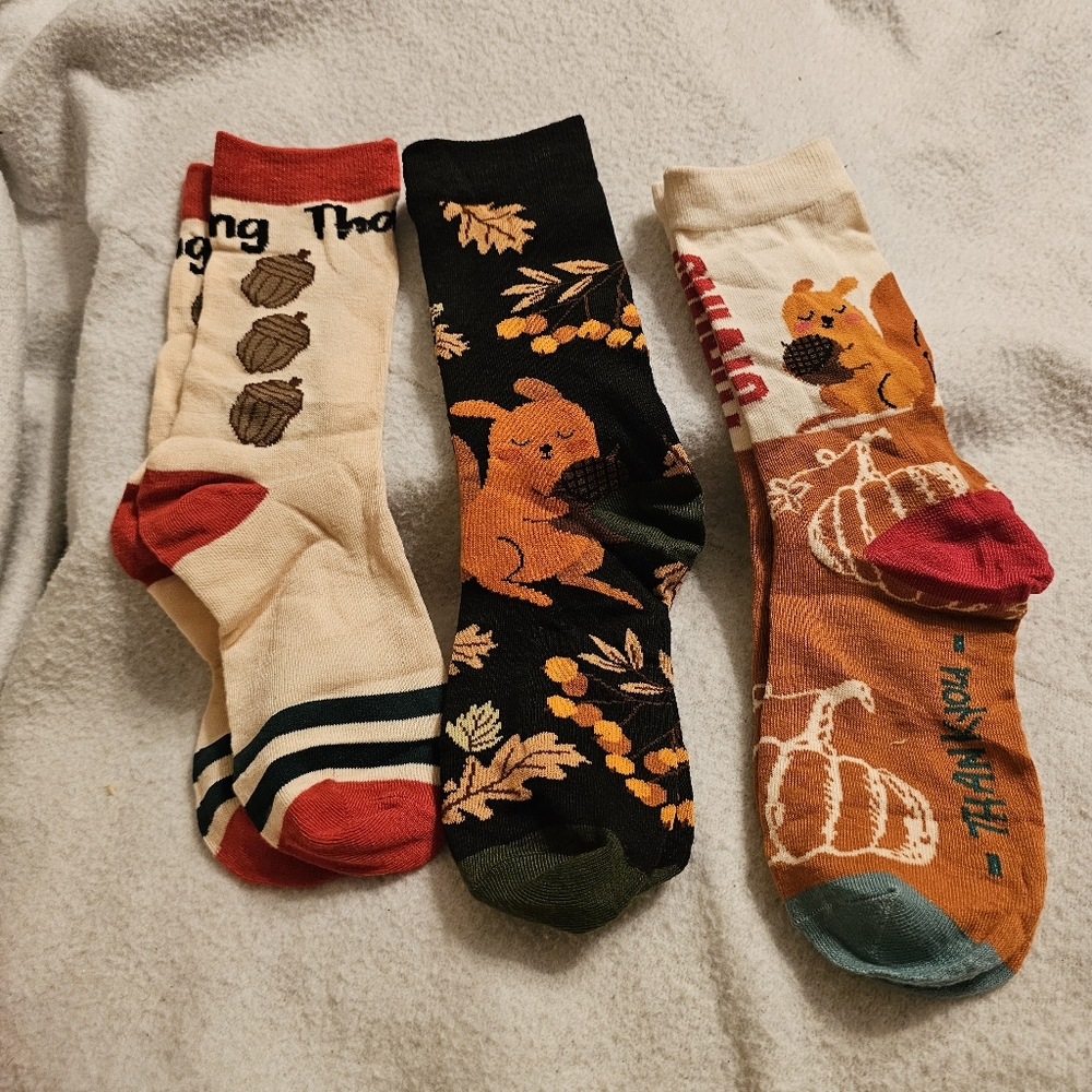 New Set Of Three Fall Squirrel Themed Socks